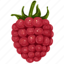 raspberry, berry, diet, fruit, vegetarian, ingredient, food