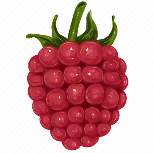 Raspberry, berry, diet, fruit, vegetarian, ingredient, food icon - Download on Iconfinder