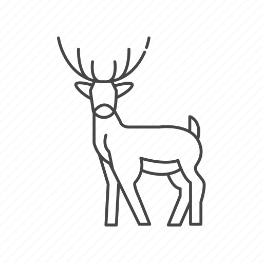 Wild, life, pelotas, animal, nature, forest icon - Download on Iconfinder