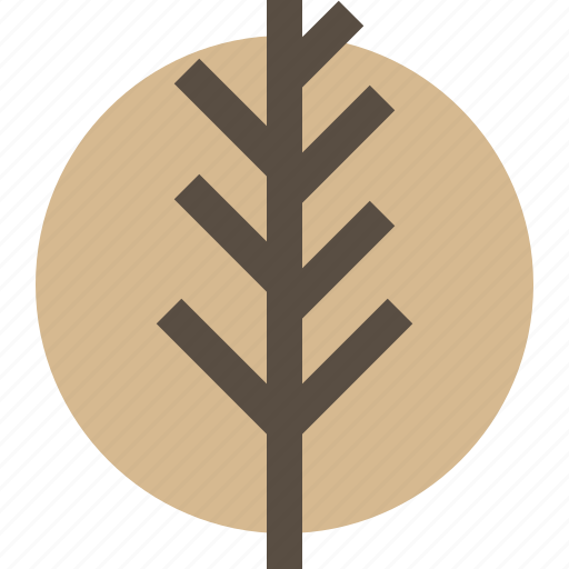 Leaf, nature, plant, tree icon - Download on Iconfinder