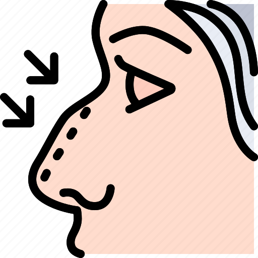 Nose, face, surgery, aesthetic, plastic, beauty, rhinoplasty icon - Download on Iconfinder