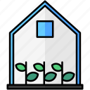 greenhouse, glasshouse, gardening, hydroponics
