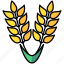 wheat, gardening, harvest, agriculture 