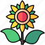 flower, gardening, sunflower, agriculture 