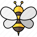 bee, honey, apiculture, honeycomb