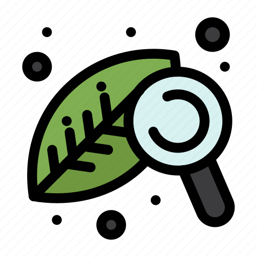 Agriculture, leaf, nature, research icon - Download on Iconfinder
