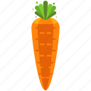 agriculture, carrot, crop, farm, farming, food