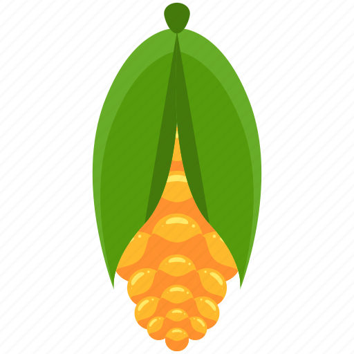 Agriculture, corn, crop, farm, farming, food icon - Download on Iconfinder