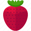 agriculture, crop, farming, fruit, grow, nature, strawberry