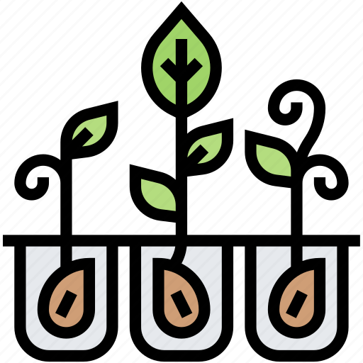 Cultivation, seedling, plant, growth, sprout icon - Download on Iconfinder