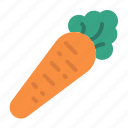 carrot, food, vegetable, organic, plant