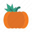 pumpkin, food, halloween, farm, plant