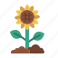sunflower, flower, blossom, floral, sunny 