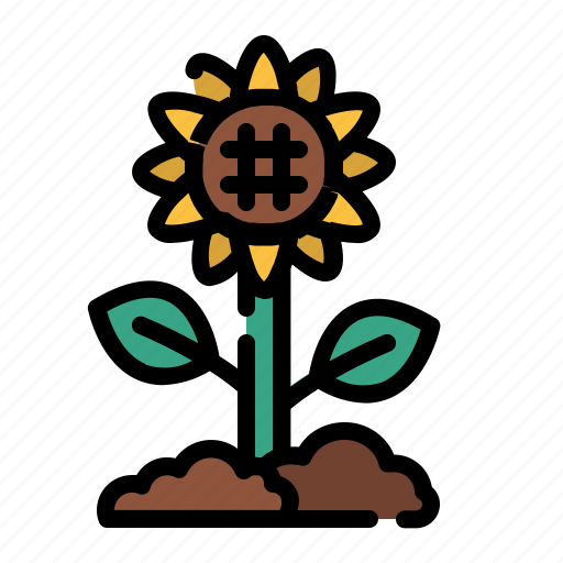 Sunflower, flower, blossom, floral, sunny icon - Download on Iconfinder