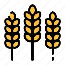 wheat, grain, harvest, farm, plant