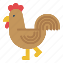 farming, bird, chicken, livestock, animals, gardening, farm