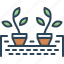 hydroponic, nutriculture, soilless culture, gardening, aquaculture, plantation, tank farming 