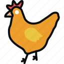 animal, chicken, cock, cockerel, farm, hen, rooster
