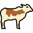 animal, animals, beef, bovine, bull, cattle, cow