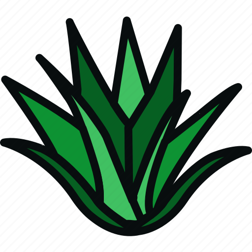 Aloe, aloe vera, leaves, nature, plants, succulent, trees icon - Download on Iconfinder
