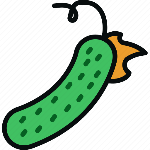 Cooking, cucumber, food, green, kitchen, salad, vegetable icon - Download on Iconfinder