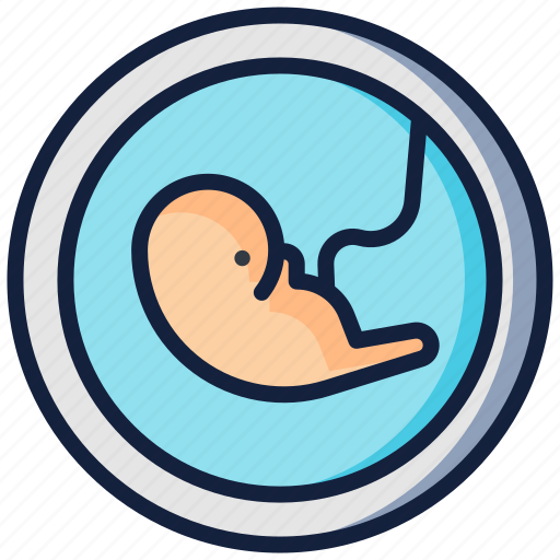 Embryo, fetus, pregnancy, pregnant icon - Download on Iconfinder