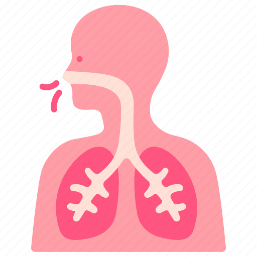 Air, body, breathe, human, lungs, organ icon - Download on Iconfinder