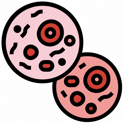 Cells, coronavirus, healthcare, and, medical, microorganism, life icon - Download on Iconfinder
