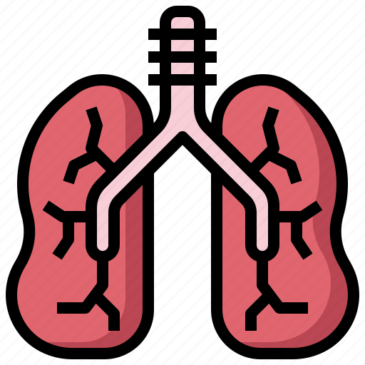 Lungs, human, organs, healthcare, medical, ecology, environment icon - Download on Iconfinder
