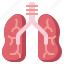 lungs, human, organs, healthcare, medical, ecology, environment 