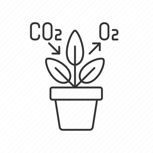 Purifying, houseplant, plant, decorative icon - Download on Iconfinder