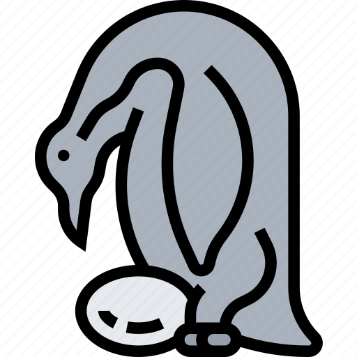 Penguin, bird, wildlife, arctic, animal icon - Download on Iconfinder