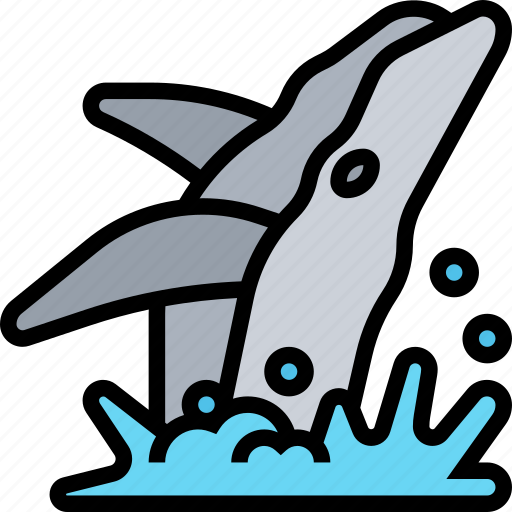 Whale, marine, aquatic, mammal, wildlife icon - Download on Iconfinder