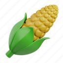 corn, vegetable, organic, agriculture, food, popcorn, farm, maize