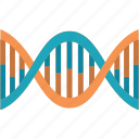 genetics, genome, gene, dna, biology