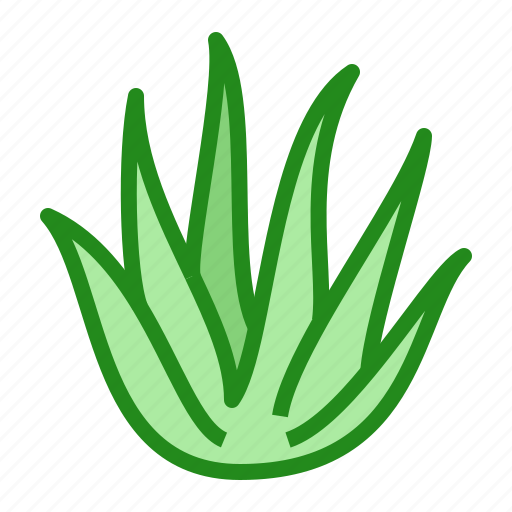 Aloe, leaves, plant, succulent, vera icon - Download on Iconfinder
