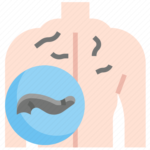 Leech, therapy, circulatory, disorders, healthcare, medical, medicinal icon - Download on Iconfinder