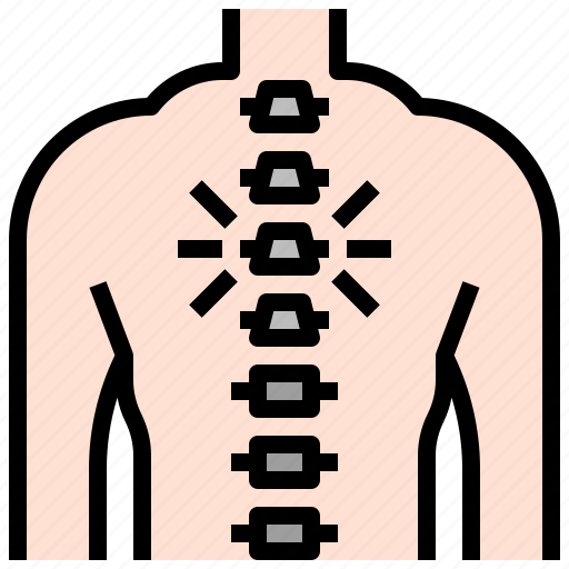 Chiropractic, spine, curve, alternative, medicine, wellness icon - Download on Iconfinder