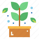 herb, leaf, plant, spa