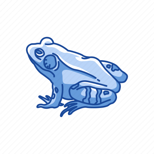 Amphibian, animal, bullfrog, carnivorous, frog, toad, vertebrates icon - Download on Iconfinder