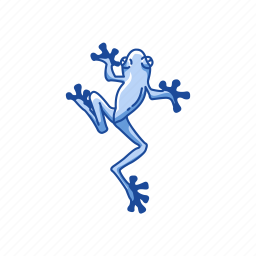 Amphibian, animal, carnivorous, frog, toad, tree frog icon - Download on Iconfinder