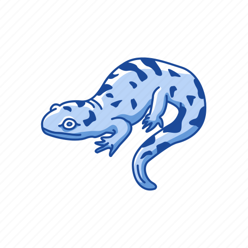 Amphibian, animal, lizard, mole salamander, salamander, tiger salamander icon - Download on Iconfinder
