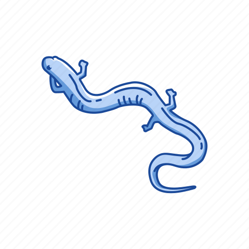 Amphibians, animal, flatwood salamander, frosted salamander, salamander, vertebrates icon - Download on Iconfinder