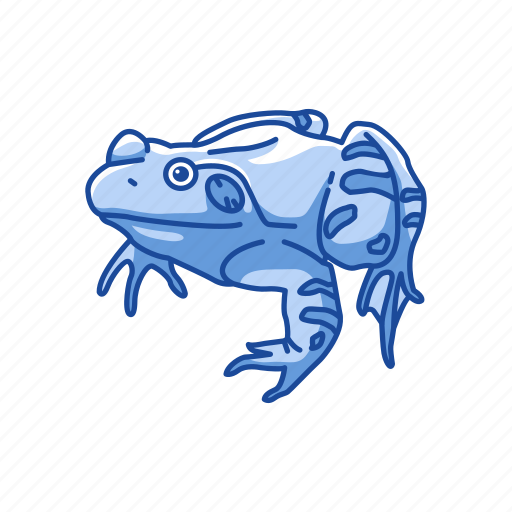 American toad, amphibians, animal, carnivorous, frog, toad icon - Download on Iconfinder
