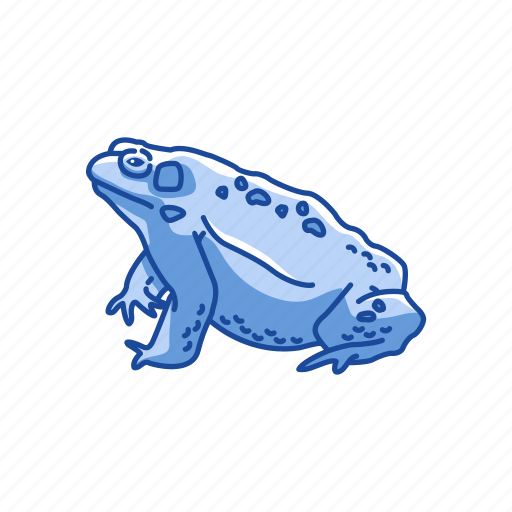 American frog, amphibians, animal, carnivorous, frog, toad, vertebrate icon - Download on Iconfinder