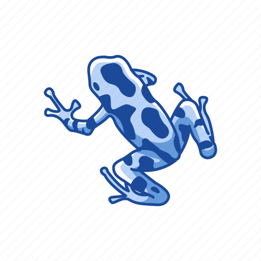 Amphibian, animal, frog, poison frog, poison hart frog, toad, vertebrates icon - Download on Iconfinder