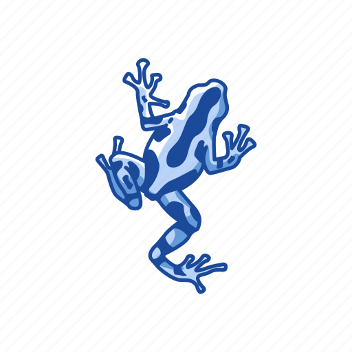 Amphibian, animal, frog, poison dart frog, poison frog, toad icon - Download on Iconfinder