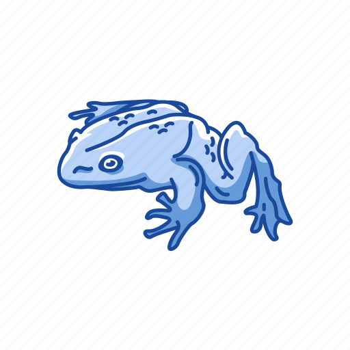 Amphibian, animal, frog, goliath frog, toad, vertebrates icon - Download on Iconfinder