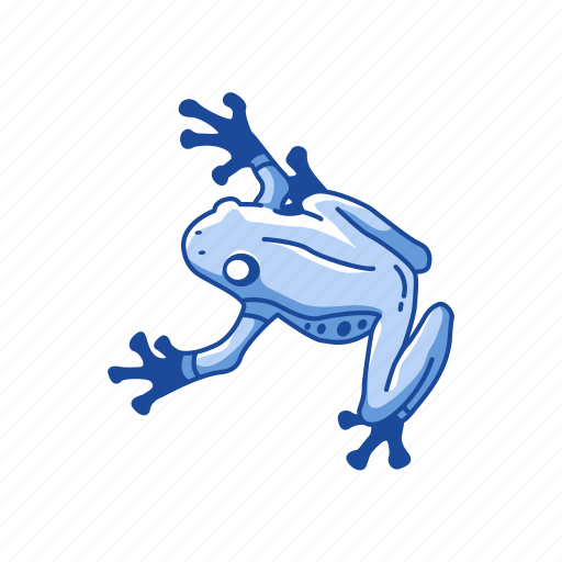 Animal, carnivorous, frog, toad, tree frog, vertebrates icon - Download on Iconfinder