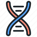 anatomy, dna, structure, man, care, healthcare, medical, body, human